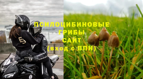 МДМА Елизово