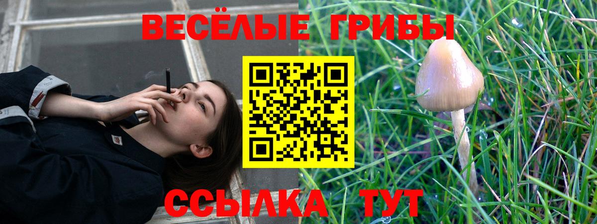 Псилоцибиновые грибы Psilocybine cubensis  Галлюциногенные грибы Psilocybe  Березники 