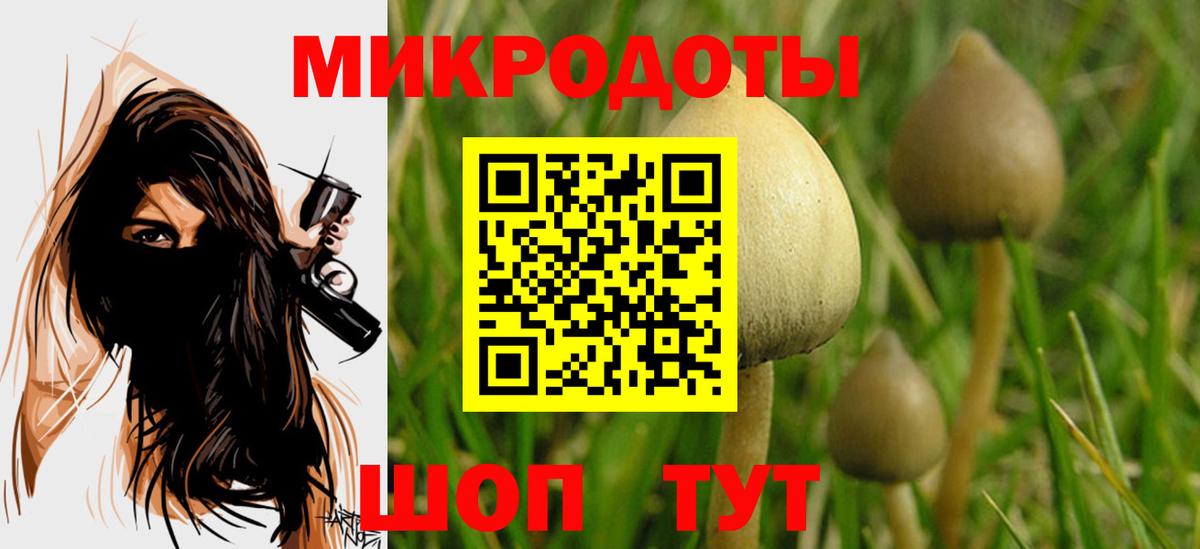Галлюциногенные грибы GOLDEN TEACHER  Вход с VPN  где продают наркотики  Березники 